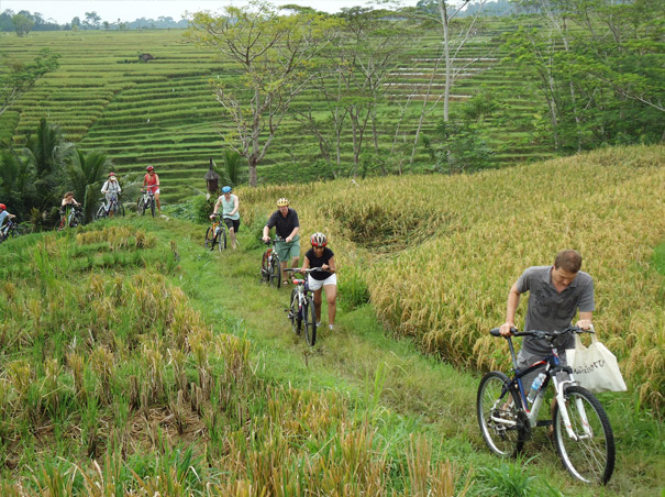 Bali Cycling